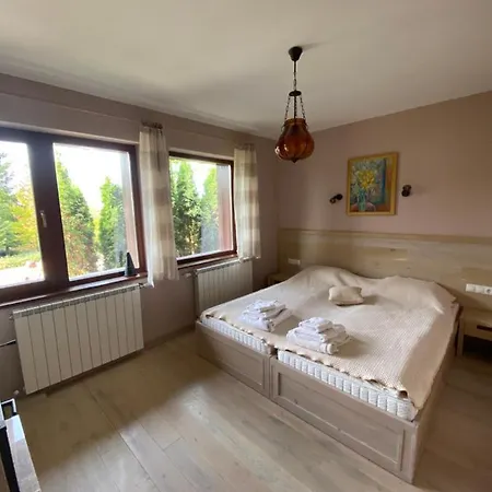 Vila Kameno Banja