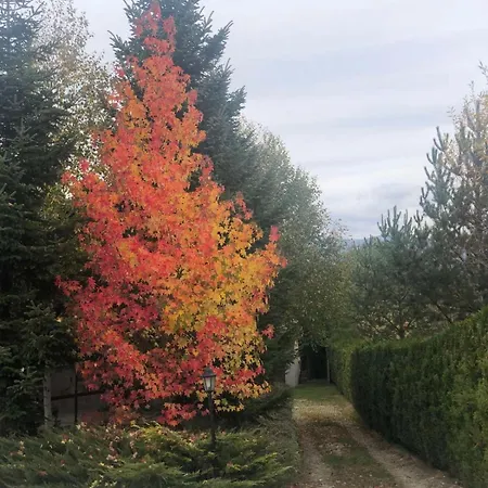 Kameno Vila Banja